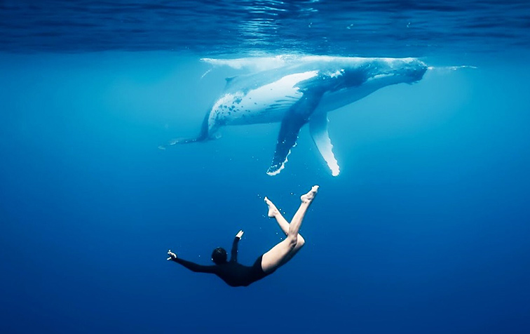 Film still for Aquaballet - A freediver swims beneath a massive humpback whale in crystal-clear blue ocean water.