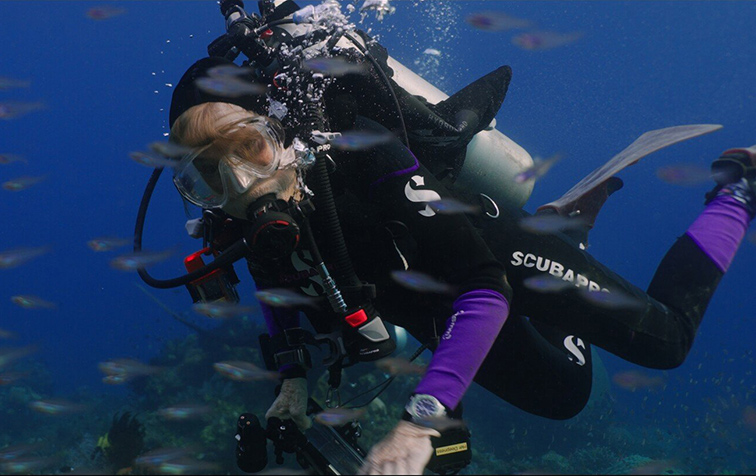 Film still for Souls - A female scuba diver in full gear with purple accents swims underwater surrounded by small fish.