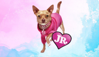 Musical Theatre Summer School: Legally Blonde Jr